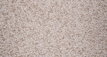 Carpet Deodorizing