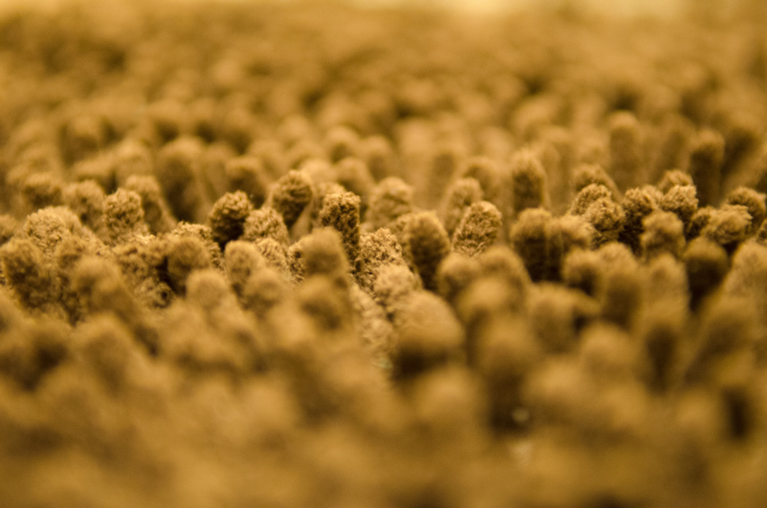 carpet texture